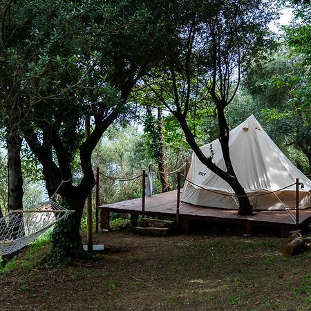 Habitat Eco Farm Ξενοδοχείο Σορέντο Εξωτερικό φωτογραφία