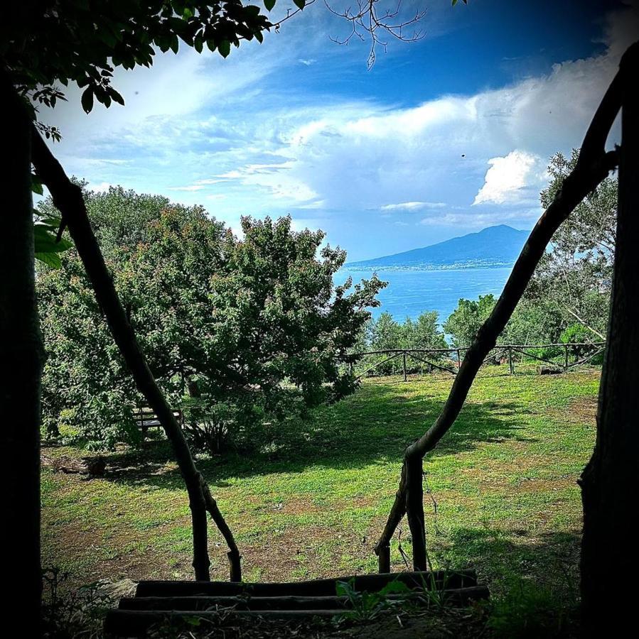 Habitat Eco Farm Ξενοδοχείο Σορέντο Εξωτερικό φωτογραφία