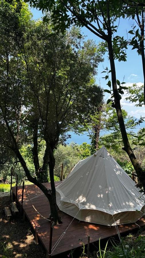 Habitat Eco Farm Ξενοδοχείο Σορέντο Εξωτερικό φωτογραφία