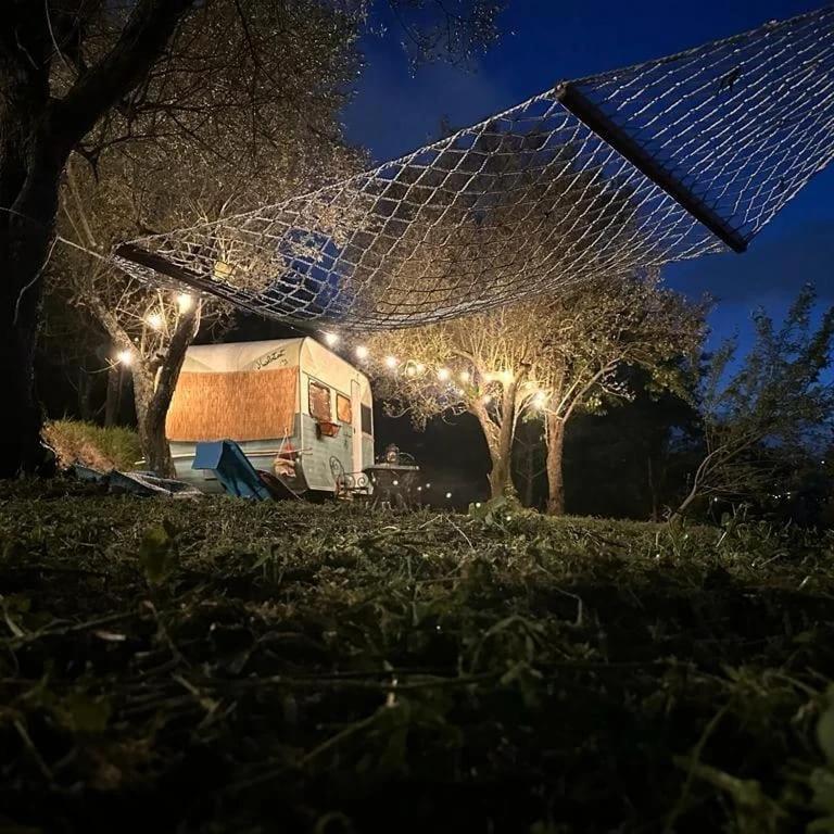 Habitat Eco Farm Ξενοδοχείο Σορέντο Εξωτερικό φωτογραφία
